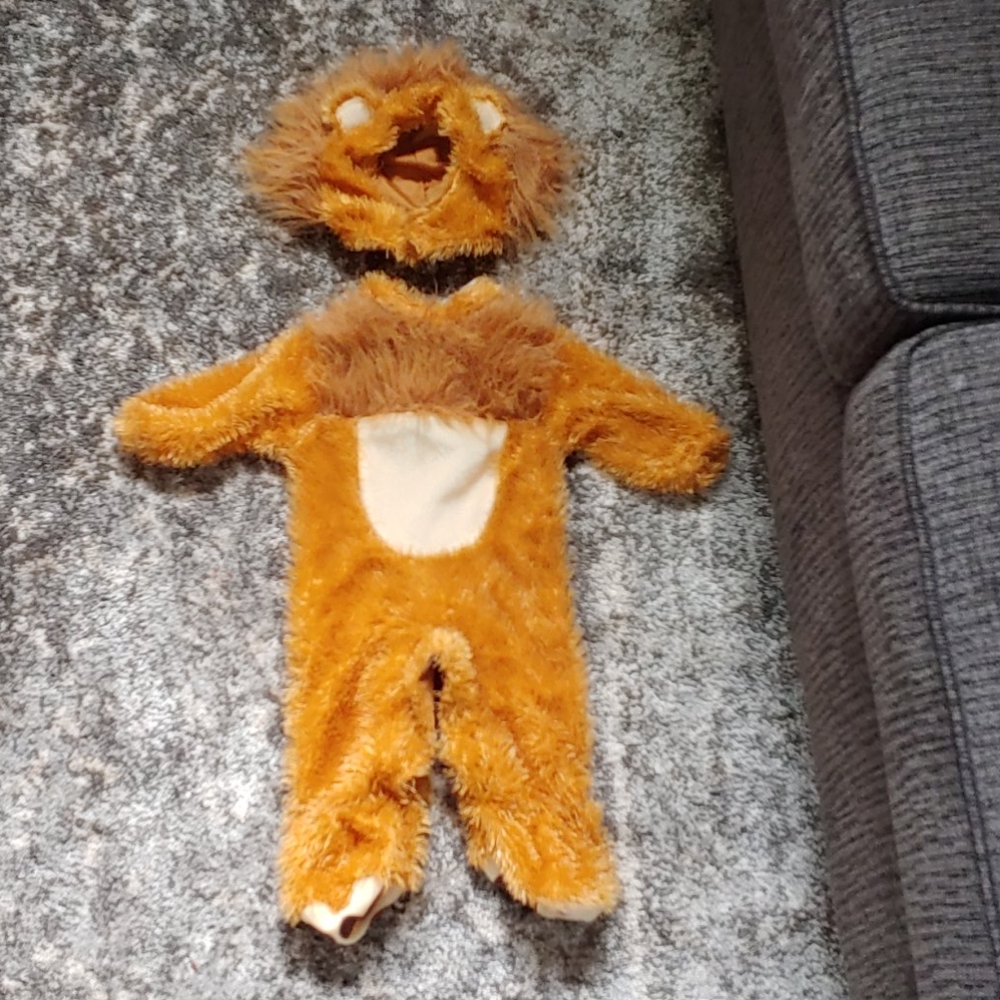 Lion costume